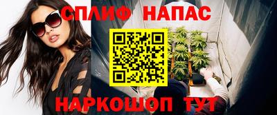 mdpv Краснознаменск