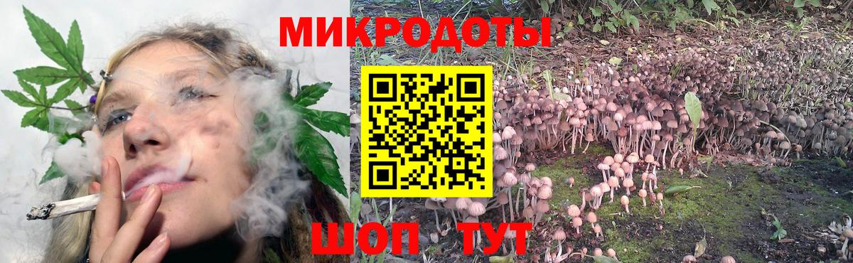 Знаменск  Галлюциногенные грибы GOLDEN TEACHER  Вход с VPN 